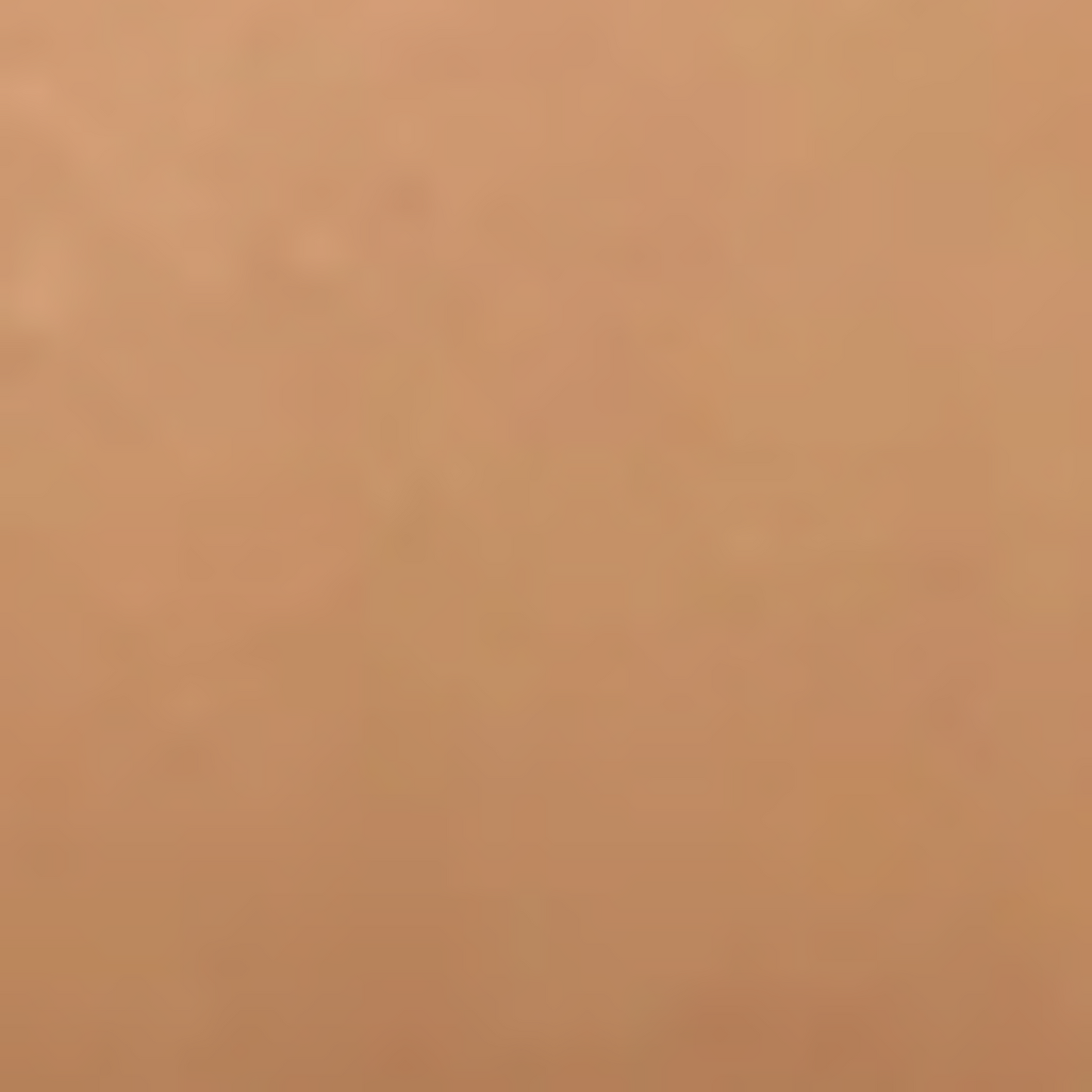 Radiant Brightening Crème Concealer- 10 Shades